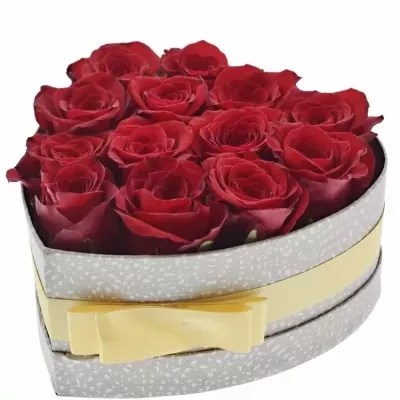 Jednodruhová krabička 13 červených růží FREEDOM 19x9cm
