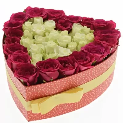 Krabička ruží FUCHSITENIA červená 24x10cm