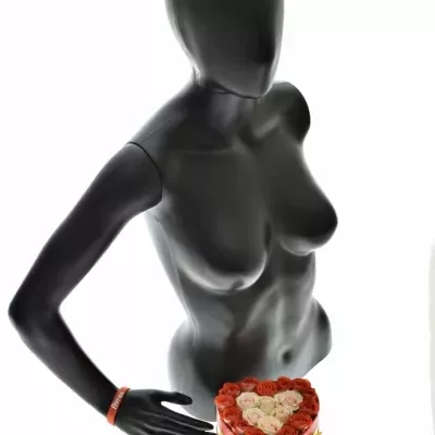 Krabička růží HEART MIA červená 15x8cm