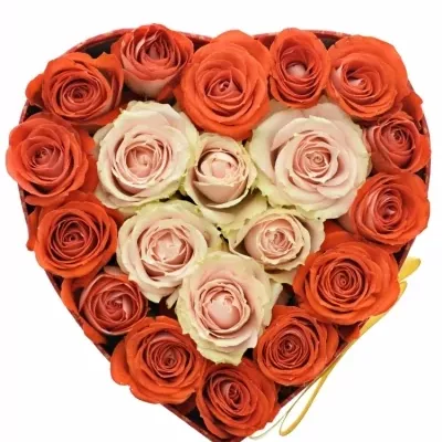 Krabička růží HEART MIA červená 15x8cm