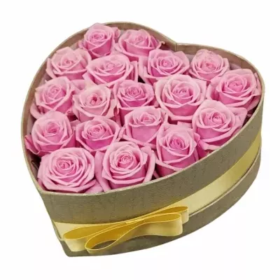 Jednodruhová krabička 18 růžových růží HEAVEN! 19x9cm