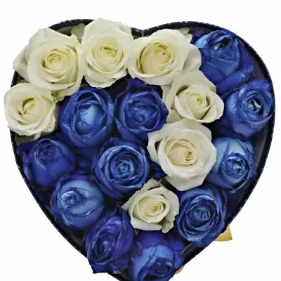 Krabička růží INARA modrá 24x10cm