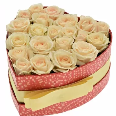 Jednodruhová krabička růžových růží JANA 15x8cm