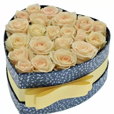 Jednodruhová krabička růžových růží JANA 15x8cm