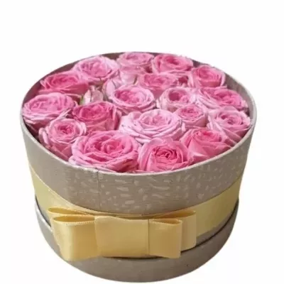 Krabička růží KATE-LYNN PINK šampaň 13,5x8cm