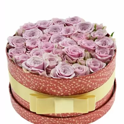 Jednodruhová krabička fialových růží LEILA 18x8cm