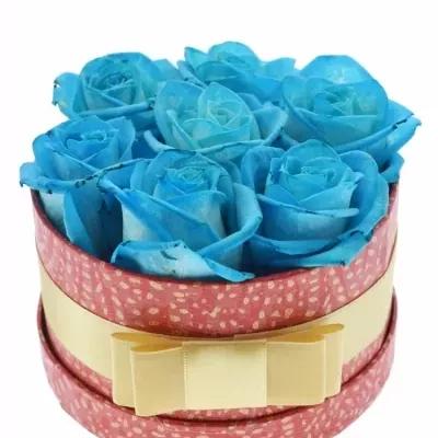 Krabička ruží LIGHT BLUE Vendel červená 13,5x8cm