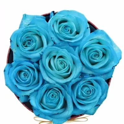 Krabička růží LIGHT BLUE VENDELA červená 13,5x8cm