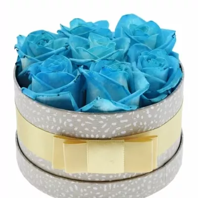 Jednodruhová krabička 7 modrých růží LIGHT BLUE VENDELA 13,5x8cm