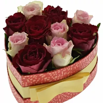 Krabička růží MADAM BISOU červená 15x8cm