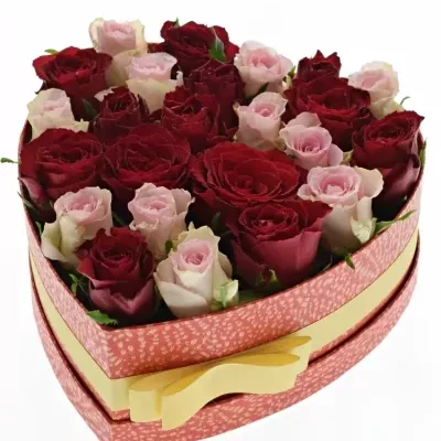 Krabička růží MADAM BISOU červená 24x10cm