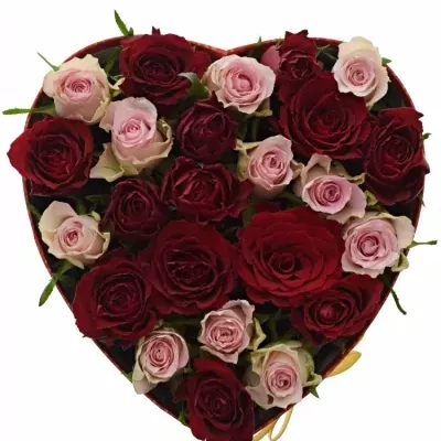 Krabička růží MADAM BISOU červená 24x10cm