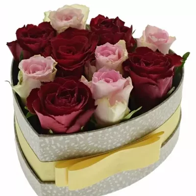 Krabička růží MADAM BISOU šampaň 15x8cm