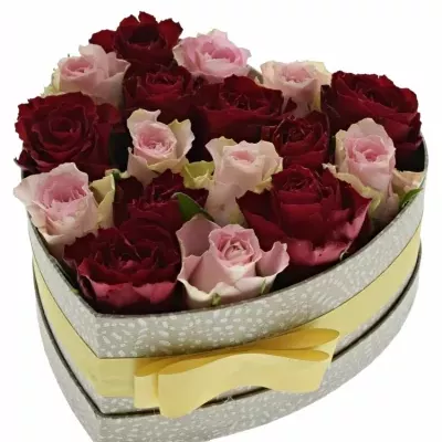 Jednodruhová krabička 17 růží MADAM BISOU 19x9cm