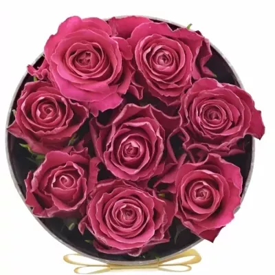 Krabička růží MADAM CERISE šampaň 13,5x8cm