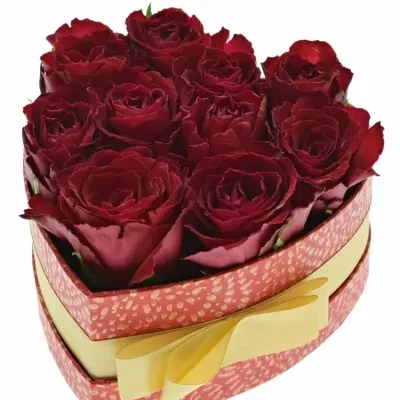 Krabička růží MADAM RED červená 15x8cm