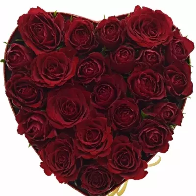 Krabička růží MADAM RED červená 24x10cm