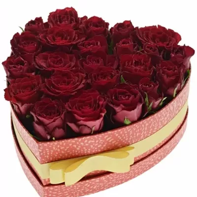 Krabička červených růží MADAM RED červená 24x10cm