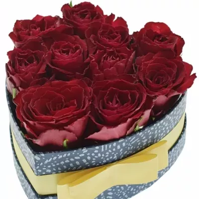 Jednodruhová krabička 10 červených růží MADAM RED 15x8cm