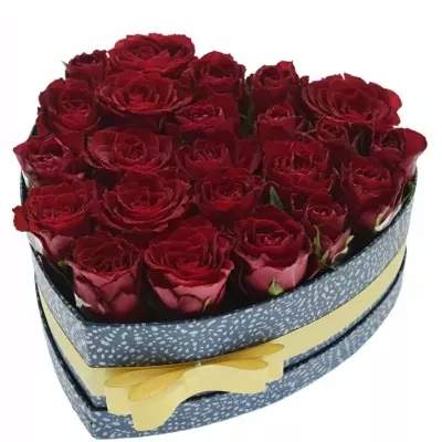 Jednodruhová krabička 23 červených růží MADAM RED 24x10cm