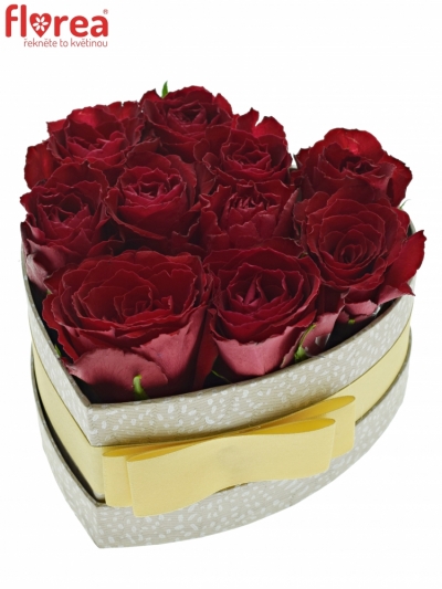 Krabička růží MADAM RED šampaň 15x8cm