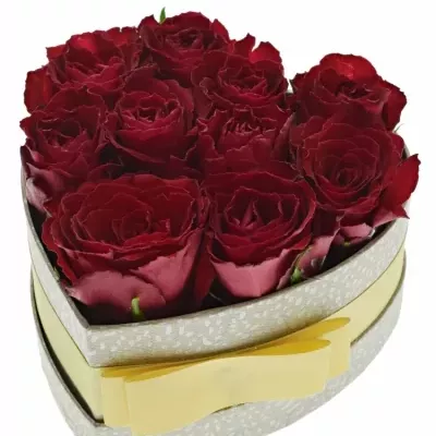 Krabička růží MADAM RED šampaň 15x8cm