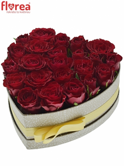 Krabička růží MADAM RED šampaň 24x10cm