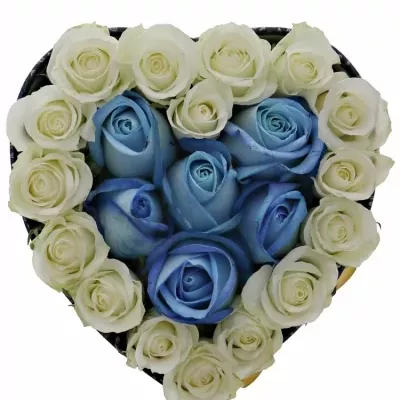 Krabička růží MARIETTANA mondrá 15x8cm