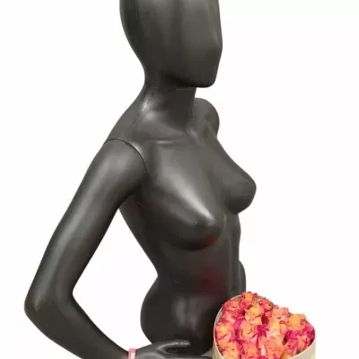 Krabička ruží MARIYO! šampaň 19x9cm 