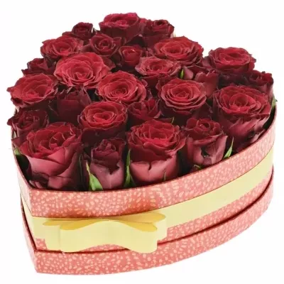 Jednodruhová krabička 25 červených růží MAXMELL 24x10cm