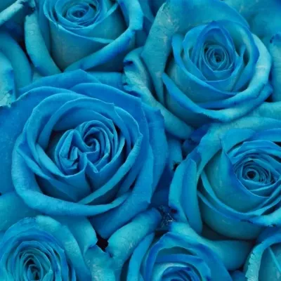 Krabička růží na Den Matek 2019 - 06