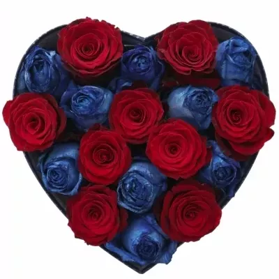 Krabička růží OCYPETE modrá 24x10cm