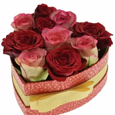 Krabička růží ODETTE červená 15x8cm