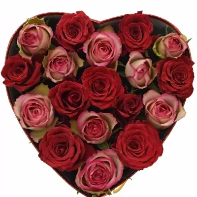 Krabička růží ODETTE červená 24x10cm