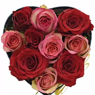 Krabička růží ODETTE modrá 15x8cm