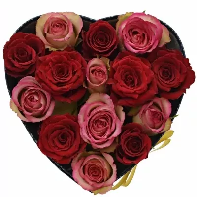 Krabička růží ODETTE modrá 19x9cm