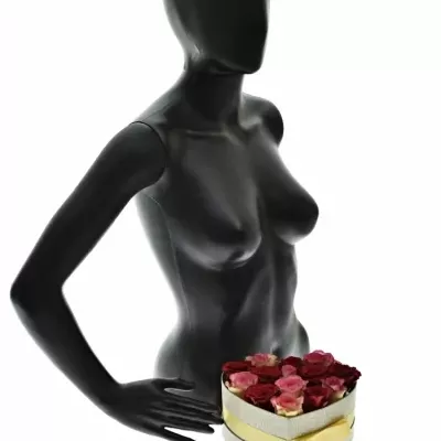 Krabička růží ODETTE šampaň 19x9cm