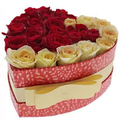 Krabička růží OFIRA červená 15x8cm