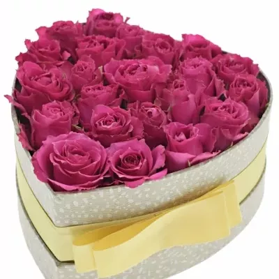 Jednodruhová krabička růžových růží PURPLE IRISCHKA 15x8cm