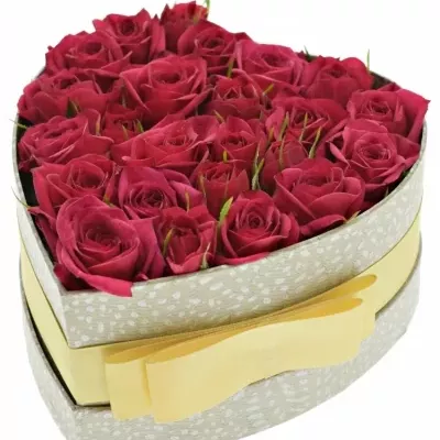 Jednodruhová krabička růžových růží QUINCY 15x8cm