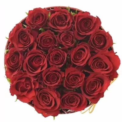 Krabička růží RED CALYPSO červená 13,5x8cm