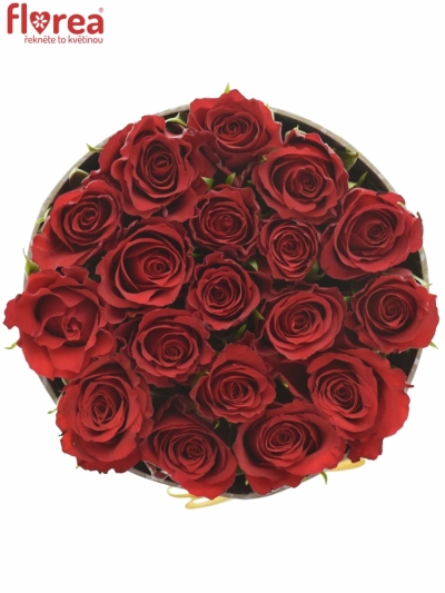 Krabička ruží RED CALYPSO šampaň 13,5x8cm