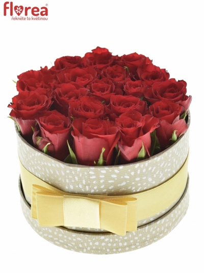 Krabička ruží RED CALYPSO šampaň 13,5x8cm