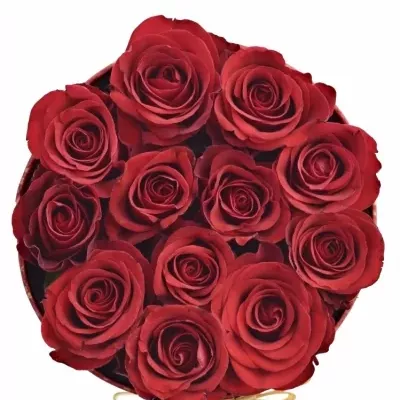 Krabička ruží RED RIBBON červená 13,5x8cm