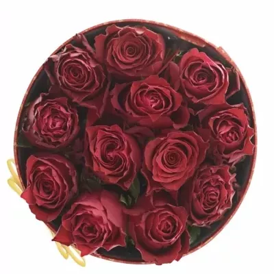 Krabička růží RHODOS červená 18x8cm