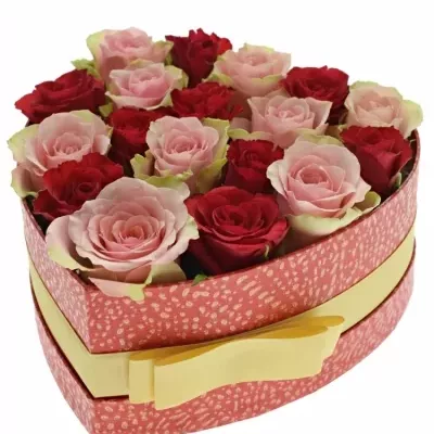 Krabička růží ROSEBELLINE červená 19x9cm