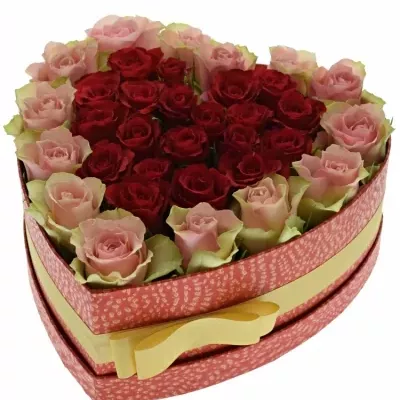 Krabička ruží ROSEBELLINE červená 24x10cm