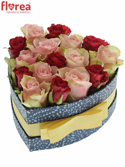 Krabička ruží ROSEBELLINE modrá 15x8cm