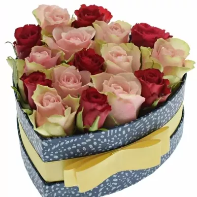 Krabička růží ROSEBELLINE modrá 15x8cm