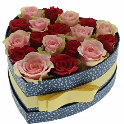 Jednodruhová krabička 18 růží ROSEBELLINE 19x9cm
